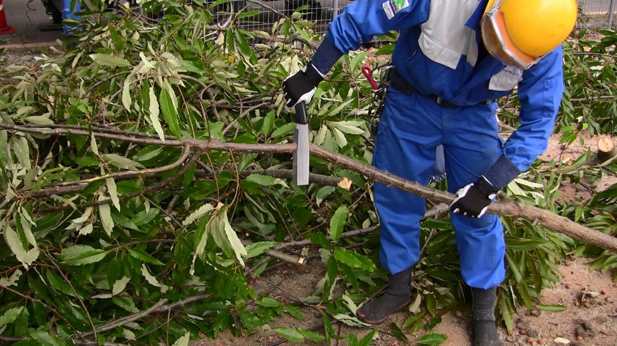 Hakbijl NATA 180 - Afbeelding 4